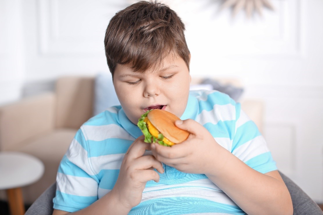 debeli dečak sedi i jede hamburger
