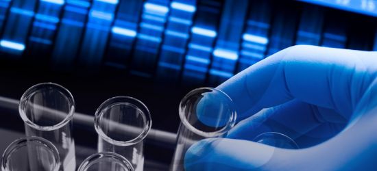 Matićne ćelije u lečenju leukemije