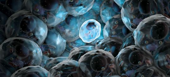 Koje su prednosti matičnih ćelija iz krvi pupčanika u odnosu na one iz koštane srži?