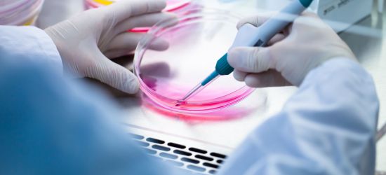 Matične ćelije čuvanje