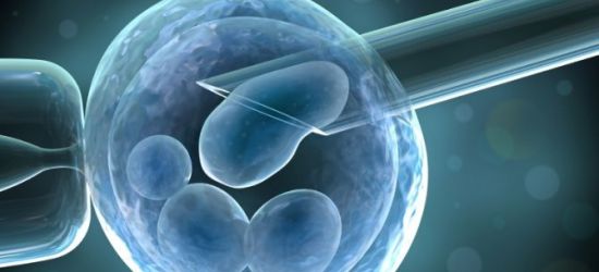 Matične ćelije u lečenju multiple skleroze